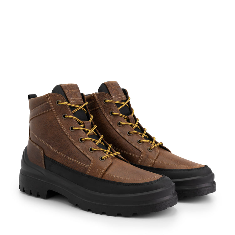 Canmore Cognac FRD