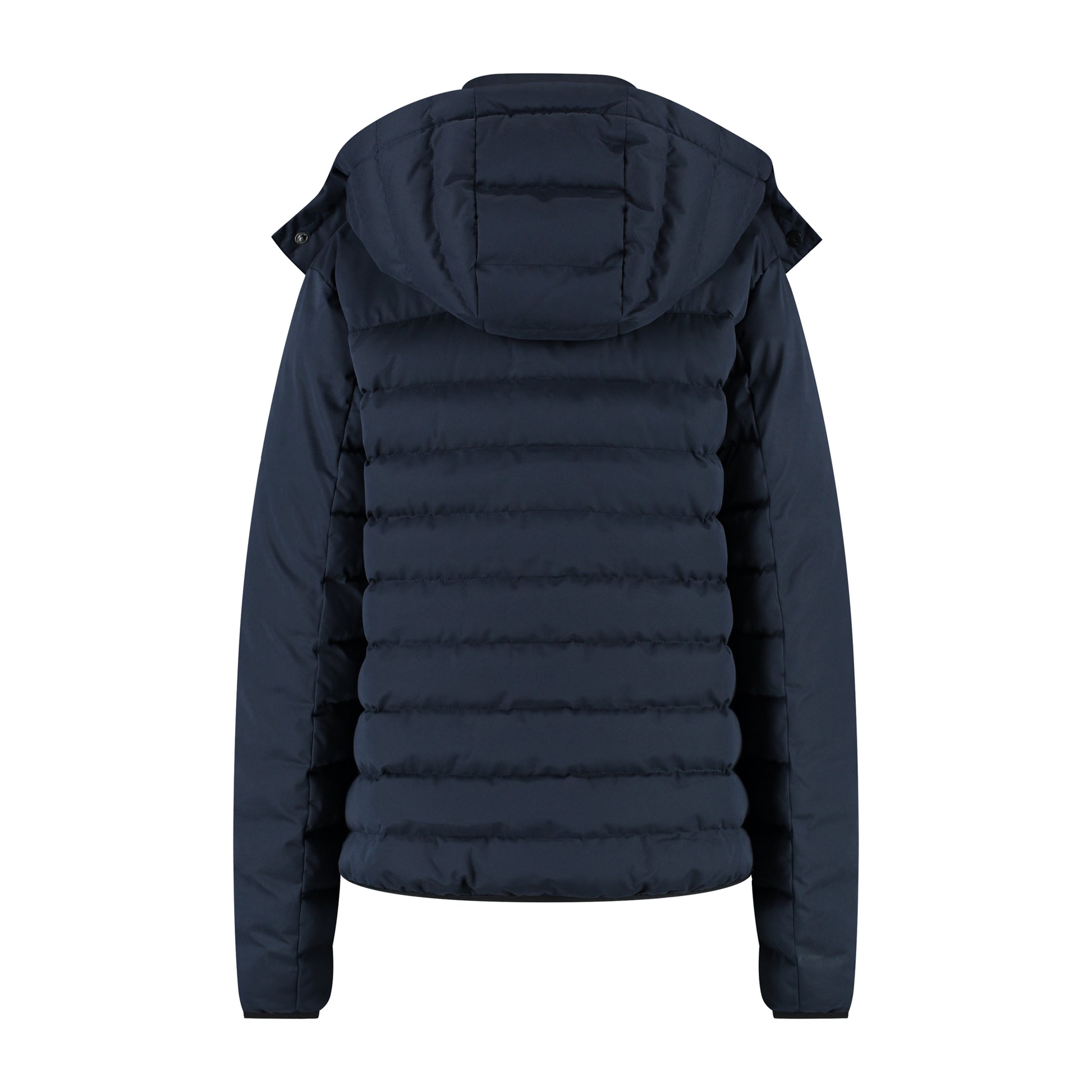 Sigrid Navy B