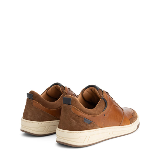 Darley Men - Sneakers - Leather - Cognac BD