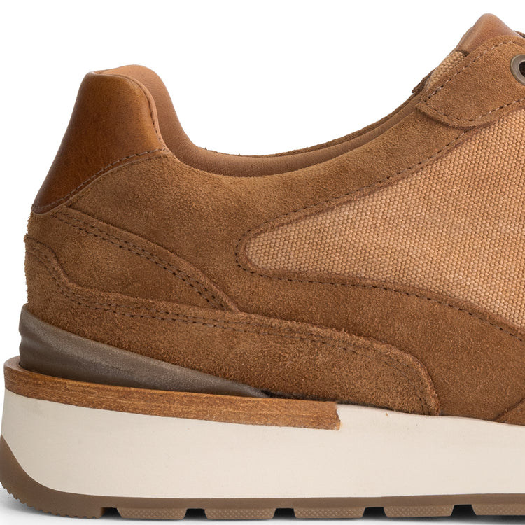 Newberry Men - Sneakers - Canvas and suede - Cognac DFH